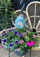 Afbeelding in Gallery-weergave laden, Dolle boel