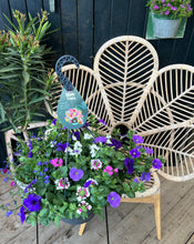 Afbeelding in Gallery-weergave laden, Potje geluk