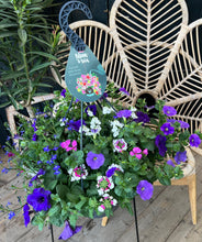 Afbeelding in Gallery-weergave laden, Potje geluk