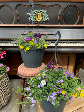 Afbeelding in Gallery-weergave laden, Flinn