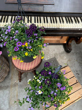 Afbeelding in Gallery-weergave laden, Flinn