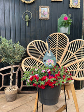 Afbeelding in Gallery-weergave laden, Gwen