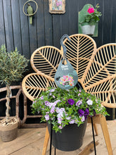 Afbeelding in Gallery-weergave laden, Rowan