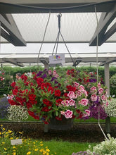 Afbeelding in Gallery-weergave laden, Gwen