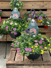 Afbeelding in Gallery-weergave laden, Flinn