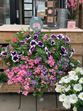 Afbeelding in Gallery-weergave laden, Dolle boel