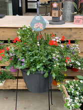 Afbeelding in Gallery-weergave laden, Boeren bont