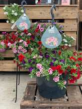 Afbeelding in Gallery-weergave laden, Gwen