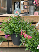 Afbeelding in Gallery-weergave laden, Allemachtig prachtig