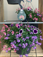 Afbeelding in Gallery-weergave laden, Dolle boel