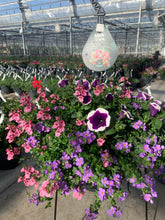 Afbeelding in Gallery-weergave laden, Dolle boel