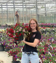 Afbeelding in Gallery-weergave laden, Gwen