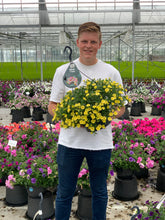 Afbeelding in Gallery-weergave laden, Thijs