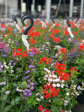 Afbeelding in Gallery-weergave laden, Boeren bont