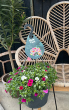 Afbeelding in Gallery-weergave laden, Tamara
