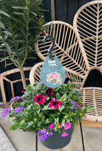 Afbeelding in Gallery-weergave laden, Daisy
