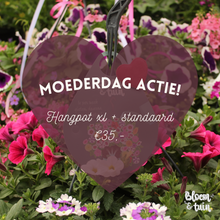 Afbeelding in Gallery-weergave laden, Moederdag Actie: Hangpot XXL incl. waterreservoir + standaard
